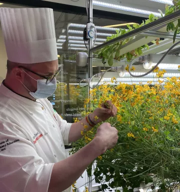 Chef Jürgen David in the ICE garden