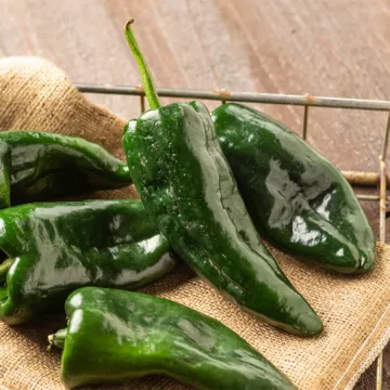 A basket of poblano peppers.