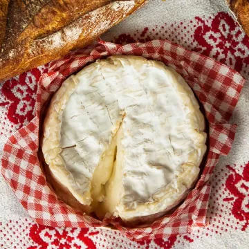 A wheel of raw milk cheese sits on a red and white checkered cloth