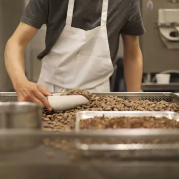 Someone scoops cacao beans in the chocolate lab