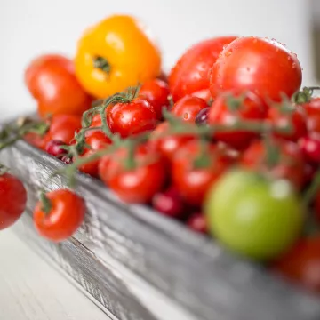 Tomatoes overflow from a bin.