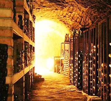 wine cellar