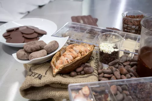 An open cacao pod on a table in the ICE Chocolate Lab at the Institute of Culinary Education