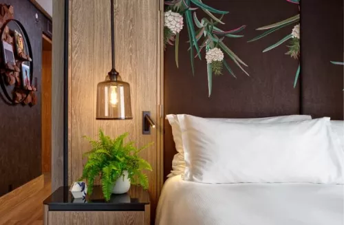 photo of a partial hotel bed made up in bright white linens against a wooden wall, a bright green fern sits on the side table