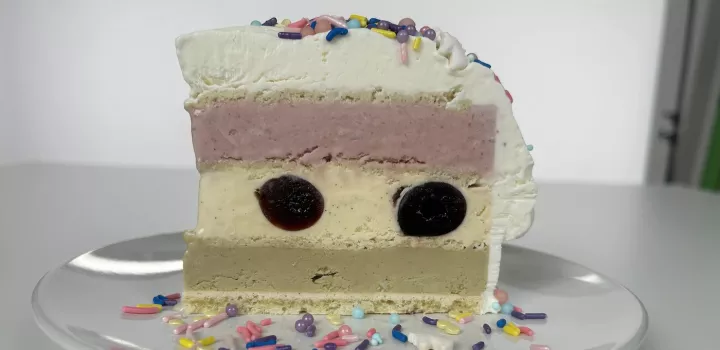 Slice of ice cream cake on a plate with sprinkles