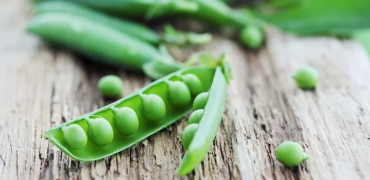 pea pods on a table