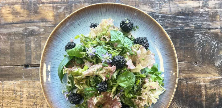 Blackberry basil salad on a plate.