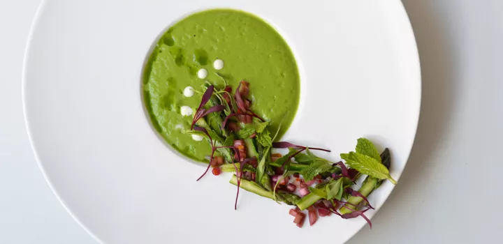 Chilled Asparagus & Fresh Herb Soup